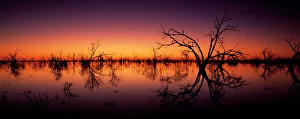 Stunning Australian outback sunset colours and with dead trees featured on Tandure Lake Stunning Australian outback sunset colours and with dead trees featured on Tandure Lake