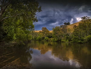 Victoria (VIC) Collection: Summer scene on the banks of the Murray river near Corryong
