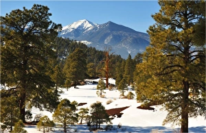 Sunset Crater National Park, Arizona, Western united States of America Sunset Crater National Park, Arizona, Western united States of America
