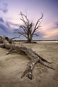 Sunset at Lake Bonney, Barmera, Riverland, South Australia, Australia Sunset at Lake Bonney, Barmera, Riverland, South Australia, Australia