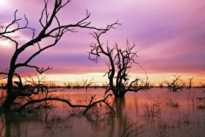 Sunset at Menindee Lakes, Outback NSW, Australia Sunset at Menindee Lakes, Outback NSW, Australia