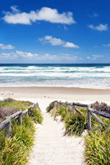 Track to Cave Beach, Booderee National Park, Jervi Track to Cave Beach, Booderee National Park, Jervi