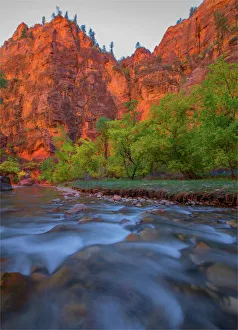 Virgin River Zion national Park in south western United States Virgin River Zion national Park in south western United States