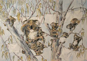 Watercolour Painting Australian Koala Family Washday Watercolour Painting Australian Koala Family Washday