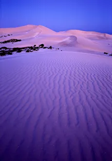 Western Australia, Eucla National Park, sand dunes at dusk Western Australia, Eucla National Park, sand dunes at dusk