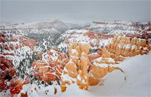 Winter and a mantle of snow in Bryce Canyon national park, Utah, USA Winter and a mantle of snow in Bryce Canyon national park, Utah, USA