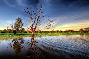 Yellow Water Billabong, Wetlands of Kakadu, North Territory, Australia Yellow Water Billabong, Wetlands of Kakadu, North Territory, Australia