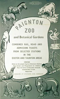 BR(SR) poster. Paignton Zoo and Botanical BR(SR) poster. Paignton Zoo and Botanical