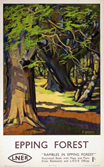 Epping Forest, LNER poster, 1923-1947 Epping Forest, LNER poster, 1923-1947