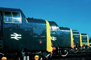 British Railways Collection: A row of Class 55 Deltic diesel locomotives built by English Electric in 1961-1962