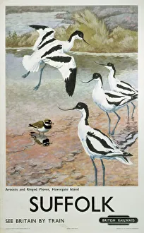 National Railway Museum Print of Suffolk BR Poster, c 1950s