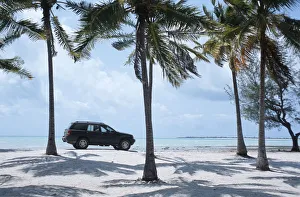 4x4 Vehicle Parked Under the Palm Trees on the Beach 4x4 Vehicle Parked Under the Palm Trees on the Beach