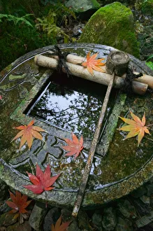 Ablution basin at temple, Kyoto, Honshu, Japan Ablution basin at temple, Kyoto, Honshu, Japan