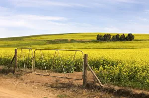 abundance, accomplish, accomplishing, accomplishment, africa, agriculture, ambient abundance, accomplish, accomplishing, accomplishment, africa, agriculture, ambient