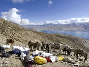adventure, altitude, animals, arid climate, beauty in nature, blue sky, climbing adventure, altitude, animals, arid climate, beauty in nature, blue sky, climbing