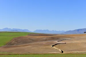 aerial view, agriculture, beauty in nature, clear sky, day, field, horizon over land aerial view, agriculture, beauty in nature, clear sky, day, field, horizon over land