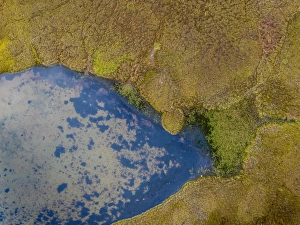 Aerial view-Water Creek with Tussocks or Hummocks, Iceland Aerial view-Water Creek with Tussocks or Hummocks, Iceland
