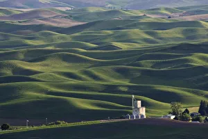agriculture, beauty in nature, built structure, color image, day, distant, field agriculture, beauty in nature, built structure, color image, day, distant, field