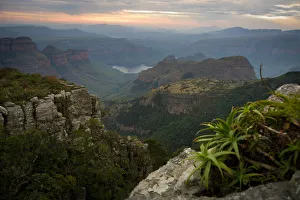 aloe, awe, beauty in nature, blyde river, blyde river nature reserve, color image aloe, awe, beauty in nature, blyde river, blyde river nature reserve, color image