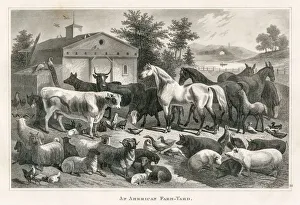 American farm yard engraving 1873 American farm yard engraving 1873