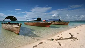 Anchored Boats on Prison Island Print