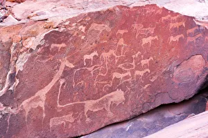 Ancient rock carvings, Damaraland, Namibia, Africa Ancient rock carvings, Damaraland, Namibia, Africa