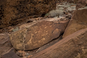 Ancient rock engravings, Twyfelfontain, Namibia Ancient rock engravings, Twyfelfontain, Namibia