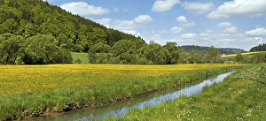 The Anlauter river in Anlautertal valley with flower meadows, Ritter- und Romerweg The Anlauter river in Anlautertal valley with flower meadows, Ritter- und Romerweg