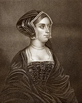 Anne Boleyn by Hans Holbein (Sepia Toned) Anne Boleyn by Hans Holbein (Sepia Toned)