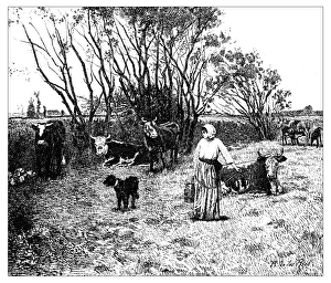Antique illustration of landscape with animals and farmer Antique illustration of landscape with animals and farmer