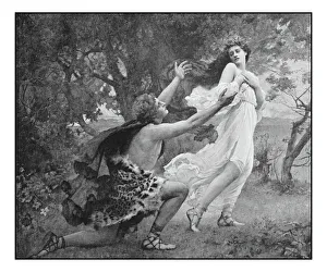 Antique photo of paintings: Apollo and Daphne Antique photo of paintings: Apollo and Daphne