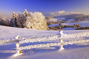 Appenzell winter landscape in evening light with view on the Santis, fence with hoarfrost in the foreground Appenzell winter landscape in evening light with view on the Santis, fence with hoarfrost in the foreground