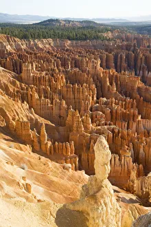arid, bryce canyon, bryce canyon national park, canyon, color image, day, elevated view arid, bryce canyon, bryce canyon national park, canyon, color image, day, elevated view