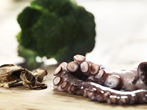Arm from a fresh octopus