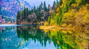 Arrow Bamboo Lake, Jiuzhai Valley National Park Arrow Bamboo Lake, Jiuzhai Valley National Park