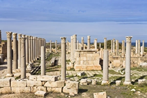 Augustus Temple, Leptis Magna, Libya, Africa Augustus Temple, Leptis Magna, Libya, Africa