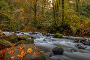 Autumn in Bridal Veil Falls State Park Oregon Autumn in Bridal Veil Falls State Park Oregon