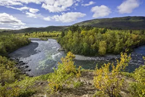 Abisko Nationalpark Collection: Autumn coloured birch trees on the Abiskojakka river, Abisko National Park, Norrbotten County