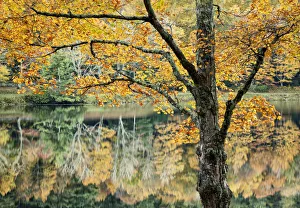 Autumn reflections in Bass Lake in Moses H Cone Memorial Park, Blue Ridge Parkway Autumn reflections in Bass Lake in Moses H Cone Memorial Park, Blue Ridge Parkway