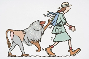 Baboon stealing from safari tourists rucksack Baboon stealing from safari tourists rucksack