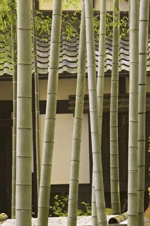 Bamboo and House detail, Kyoto, Honshu, Japan Bamboo and House detail, Kyoto, Honshu, Japan