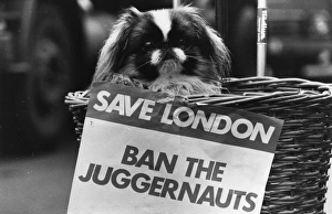 Ban The Juggernauts Ban The Juggernauts