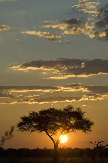 beauty in nature, cloudscape, hwange national park, idyllic, landscape, majestic beauty in nature, cloudscape, hwange national park, idyllic, landscape, majestic