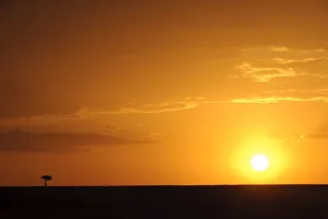beauty in nature, copy space, horizon over land, horizontal, kenya, landscape, loneliness beauty in nature, copy space, horizon over land, horizontal, kenya, landscape, loneliness