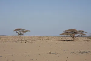beauty in nature, day, eastern province, horizon over land, horizontal, idyllic, kenya beauty in nature, day, eastern province, horizon over land, horizontal, idyllic, kenya