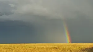 beauty in nature, day, field, free state province, horizon over land, horizontal beauty in nature, day, field, free state province, horizon over land, horizontal
