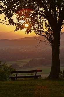 Bench under a tree, sunset, Podgrad, Dol pri Ljubljani, Slovenia Bench under a tree, sunset, Podgrad, Dol pri Ljubljani, Slovenia