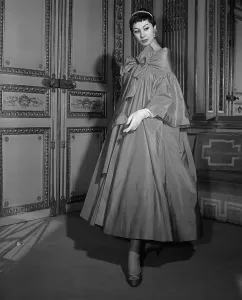 Fine Art Storehouse Print of Elegant Red Taffeta Coat