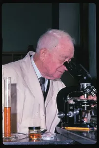Nobel Prize Medicine Prints: Francis Peyton Looking Through Microscope