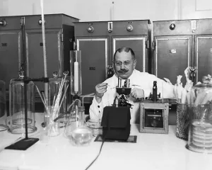 Healthcare Professional Photo Prints: Lab Tech Examining Slide At Microscope